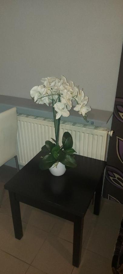 Pauza Motel Tarnowo Podgórne Dış mekan fotoğraf